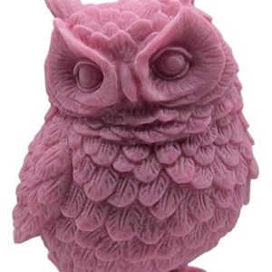 Bougie Chouette A La Cire De Soja